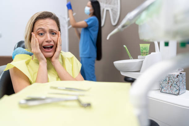 Best Broken or Chipped Tooth Repair in St Regis Park, KY